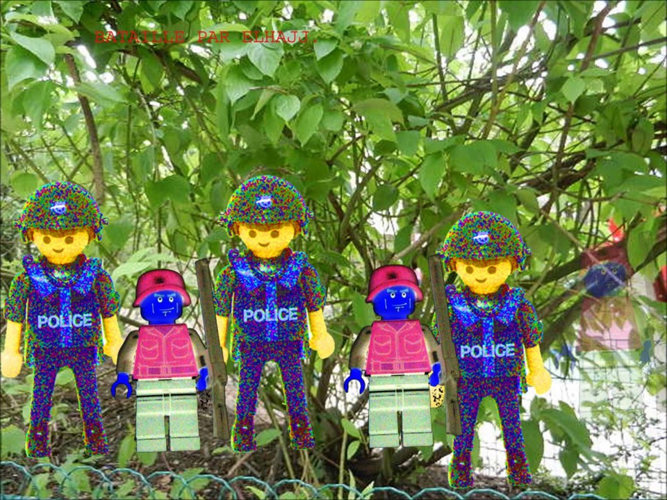 Projet photo 2014 des CM1 et CE2/CM1