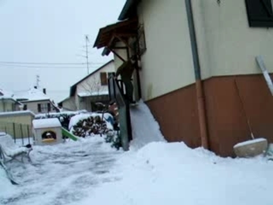 DSCF0422