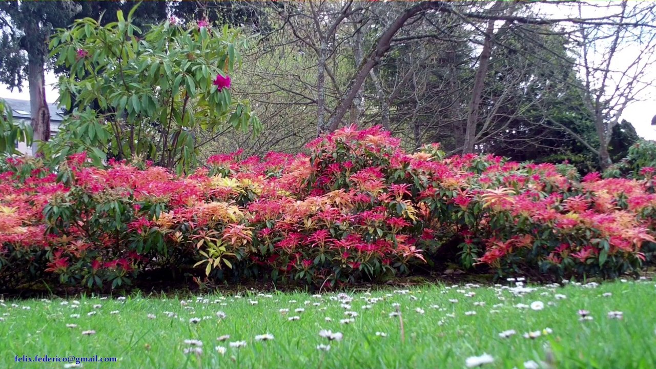 Así comenzo la primavera 2014 en A Coruña-Galicia