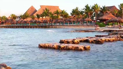 Ibogaine by David Dardashti - Ibogaine Treatment Program