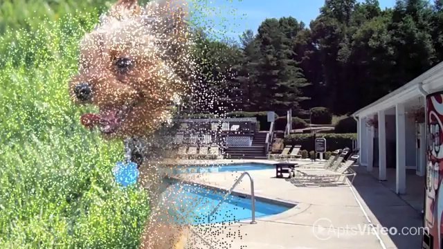 Ashton Oaks Apartments in Winston Salem, NC - ForRent.com