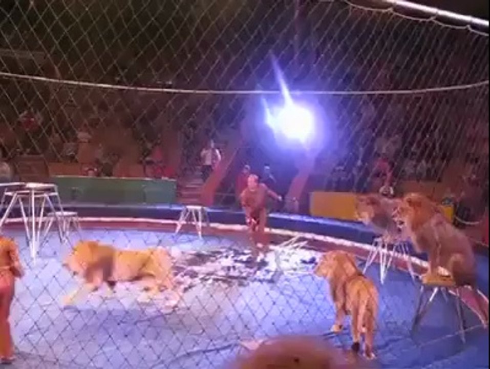 sarkas ke kamalat
