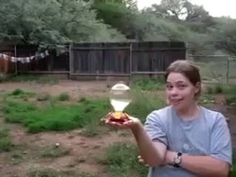 Birds - I Have Never Seen Anything Like This