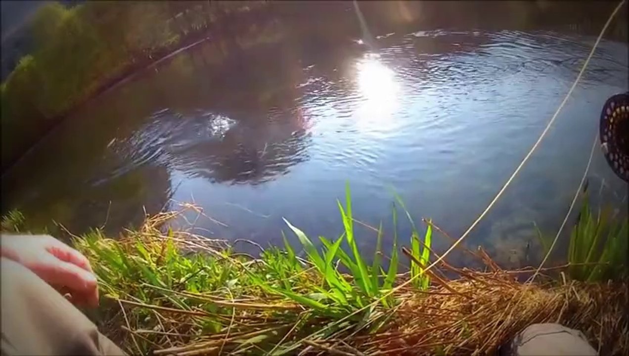 Alone in The middle of the river I hear the sound of water, I am haunted by waters