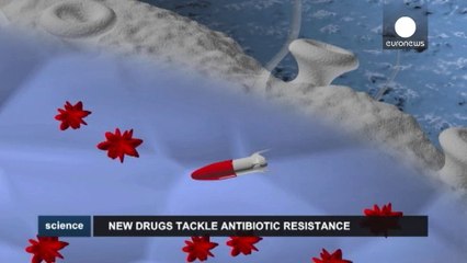 Biologia: Bacterias resistentes