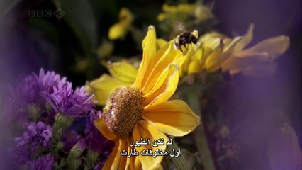 عوالم خفية لريتشارد هاموند الحلقه الأولى حدود السرعة BBC