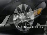 Honda Accord Dealer Murfreesboro TN | Honda Accord Dealership Murfreesboro TN