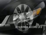 Honda Accord Dealer Paris TN | Honda Accord Dealership Paris TN