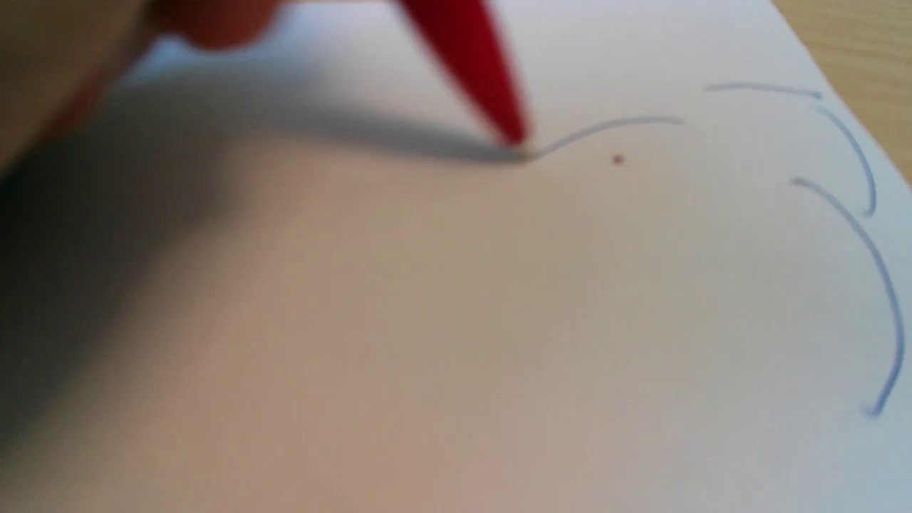 Jouer avec un insecte sur une feuille... Course d'insecte!