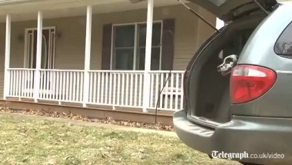 The World's Tallest Dog