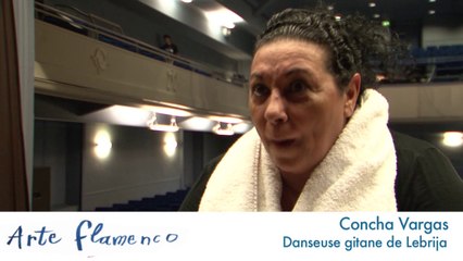 Un conte dansé pour mieux comprendre le flamenco