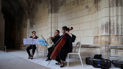 Rayon Frais - AMT - Cloître de la Psalette - 06/07/14