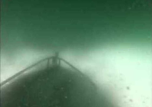 Blue Whale Capsizes Boat in California