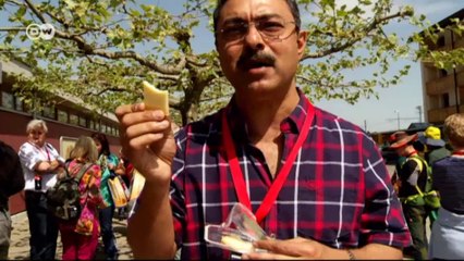 Swiss Canton of Fribourg | Euromaxx