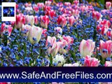 Download Spring Flowers Screensaver 1 Activation Key Generator Free
