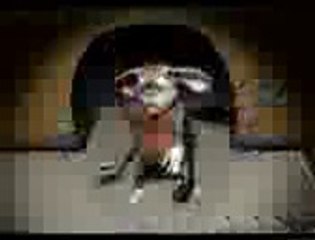 mouse-miracles