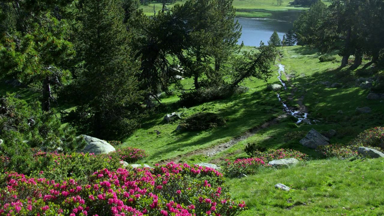 boucle du lac d aude