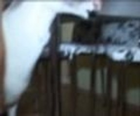 Bu koç zeytin, kraker ve çayla besleniyor