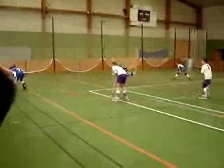 Match de Rink-Hokey "moustiques"