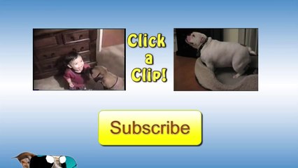 Persistant Dog Gets His Treat