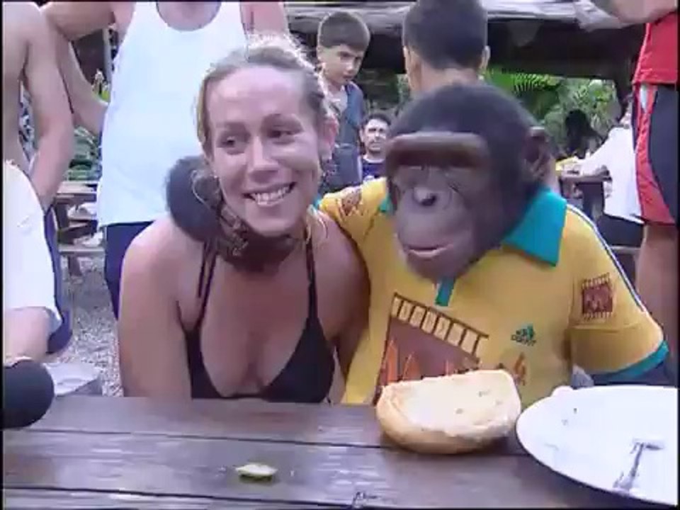 Barış Çimen ve Maymun Hüsnü