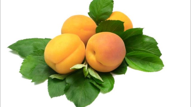 4 QUL SURAH KAFIROON IKHLAS FALAQ NAAS