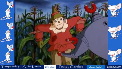 Pinky y Cerebro Capitulo 33