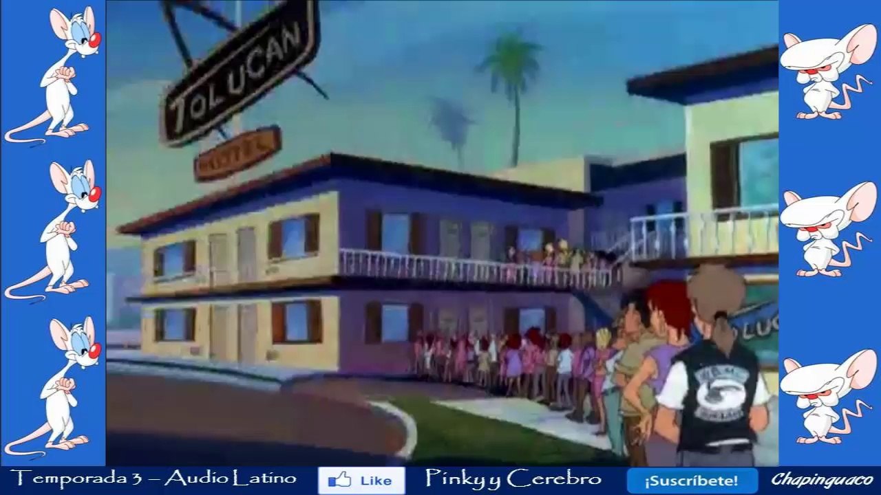 Pinky y Cerebro Capitulo 36