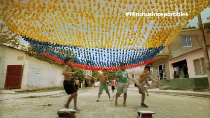 Somos Hinchas Inseparables para toda la vida.