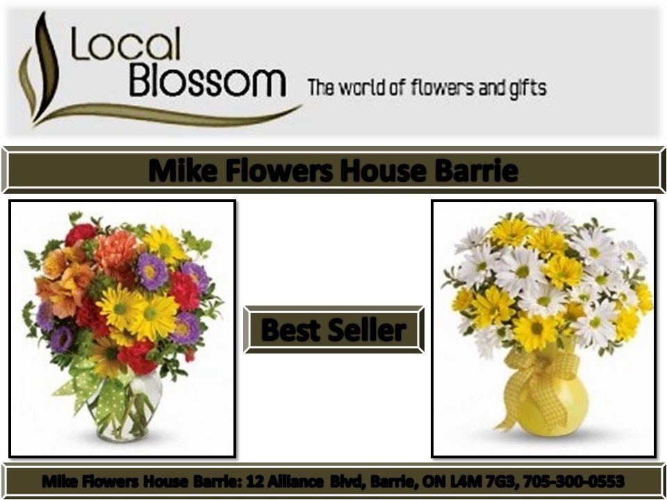 Mike Flowers House Barrie 705-300-0553