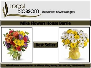 Mike Flowers House Barrie 705-300-0553