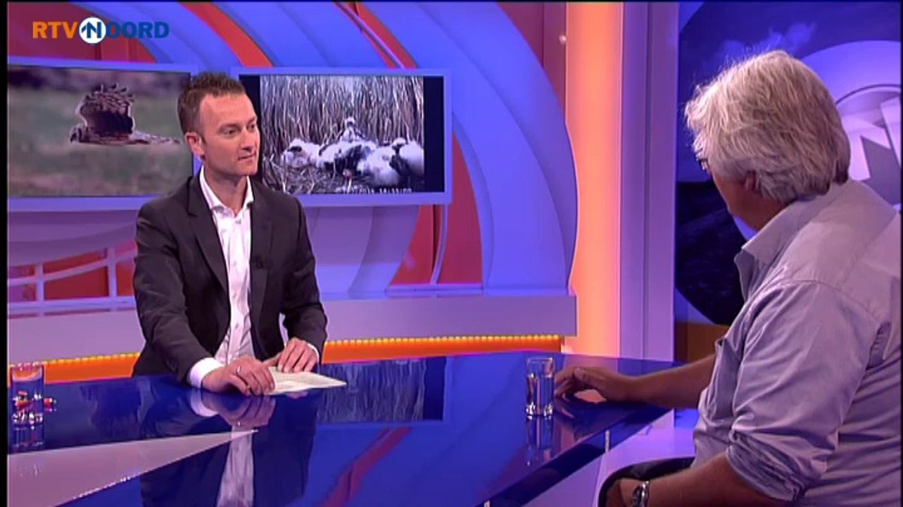 Het gaat goed met het nest van de kiekendief - RTV Noord