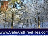Download Winter Wonderlands 1.0 Activation Code Generator Free