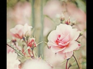 Derman Sendedir -  Aşık Himmet ( Kul Himmet )