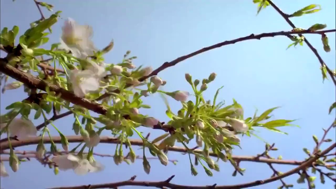 Tek Kelime ile Muhteşem ! - (Planet Earth)