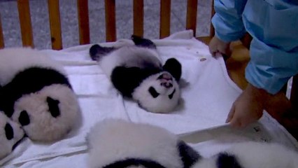 Kung Fu Panda 2 VOST - Making of part 4