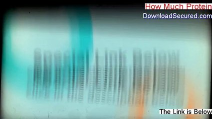 How Much Protein PDF Download [Instant Download]