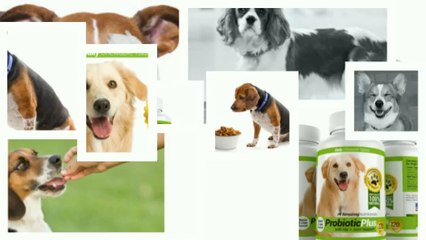 Probiotic Tablets for Dogs - You Want to Watch This Video