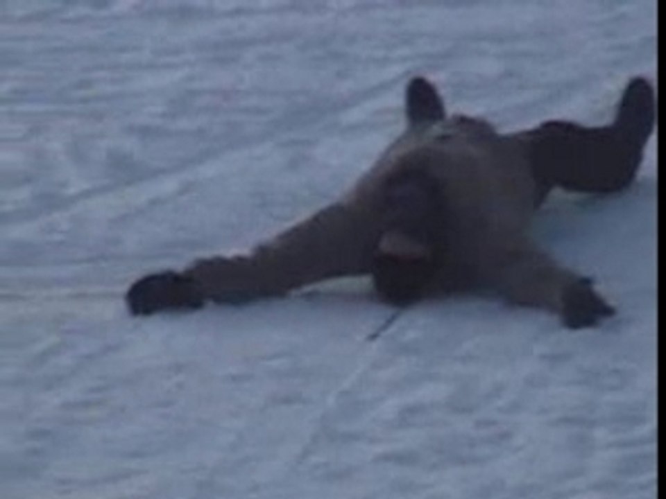 Descente en Luge