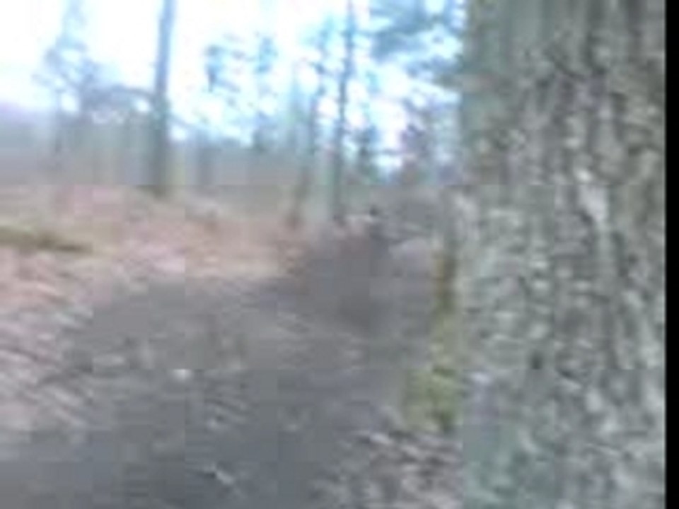 Video-0041