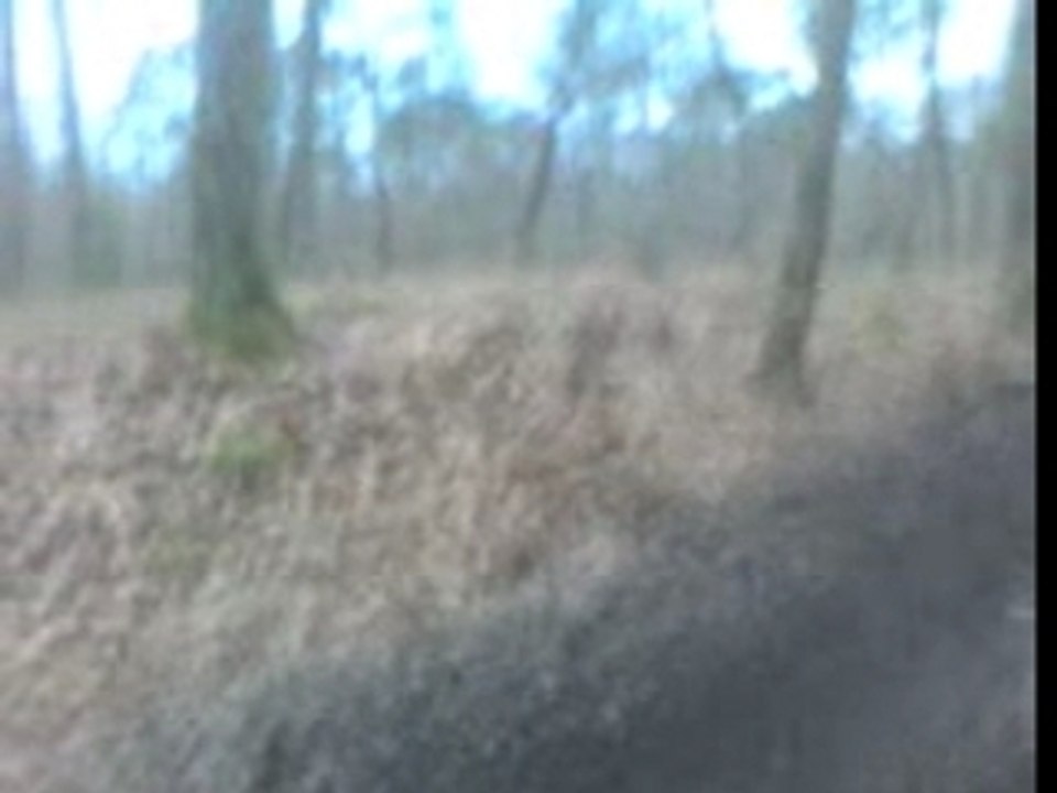 Video-0042