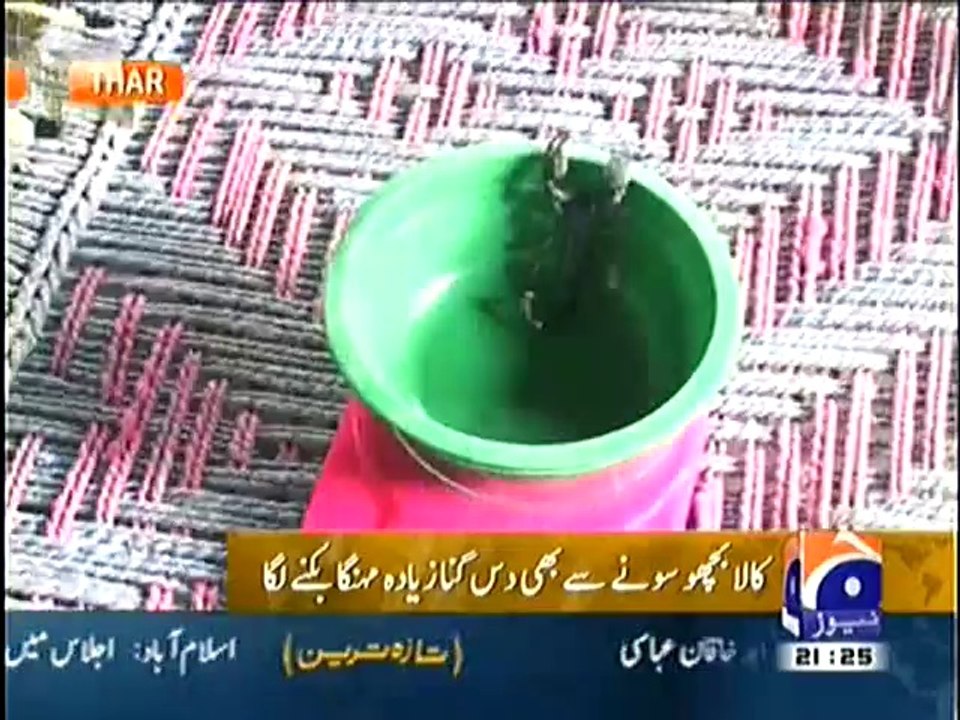 Black Scorpion more Expensive than Gold in Tharparkar