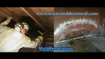 TCWRC Mold Removal Service | Company for Home Removal & Repair