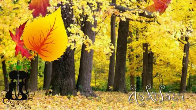 Kahraman Tazeoğlu - Unutulmuyor İşte