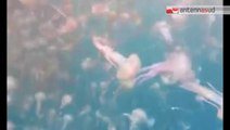 TG 07.07.14 Invasione meduse, anche in Puglia reti speciali