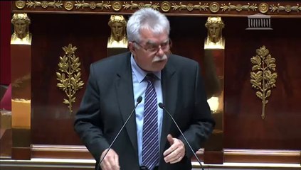 Avenir de l'agriculture et de la forêt - Intervention générale - A. Chassaigne