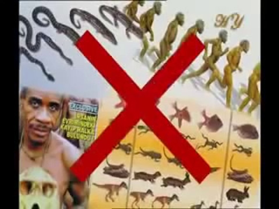 La théorie de l'évolution ( Darwin) ruinée par les fossiles !