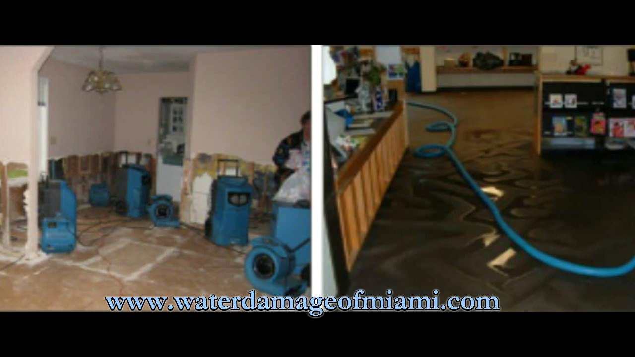 Water Damage of Miami Service | Company for Home Removal & Repair