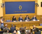 Roma - Conferenza stampa di Luigi Di Maio, Danilo Toninelli e Paola Carinelli (07.07.14)