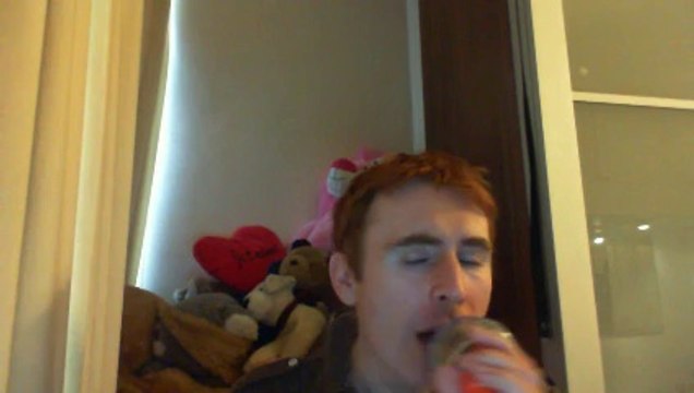 Wiwi égratigne serait il de Gérald De Palmas